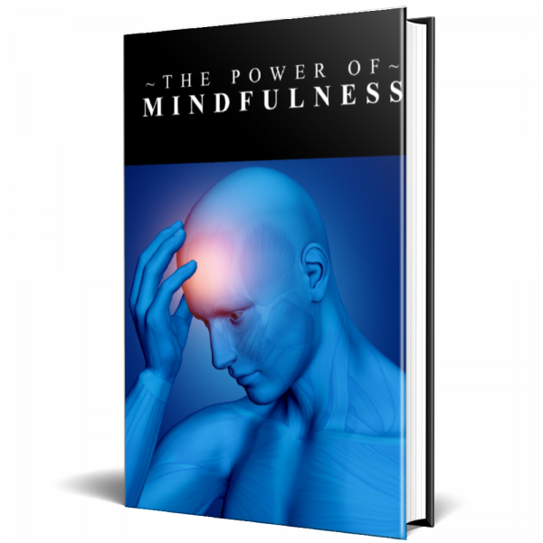 The Power of Mindfulness ebook