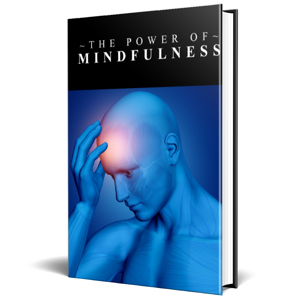 The Power of Mindfulness ebook